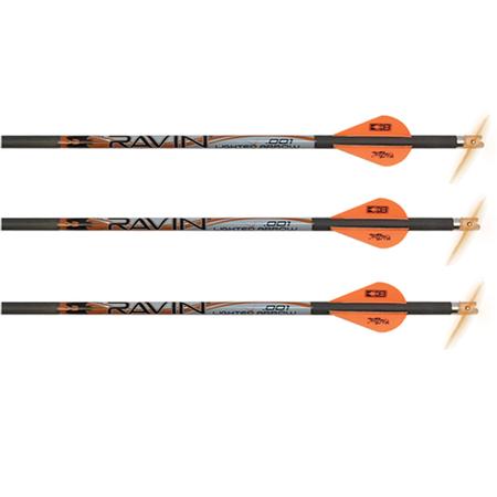 Ravin .001 Premium Match Grade Lighted Arrows Carbon Construction 20